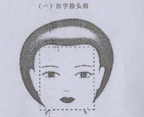 十字脸型：田字脸型与国字脸的人面相分析