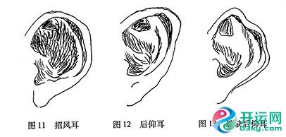 耳相：骆驼相法耳朵面相过三关断六亲吉凶（上）